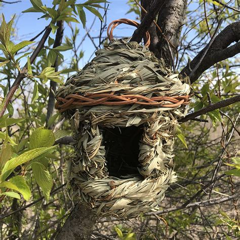 roosting pockets where to hang